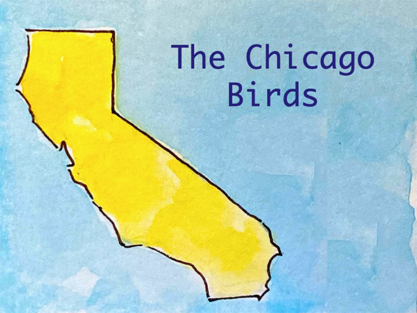 KayBeeBooks - The Chicago Bird