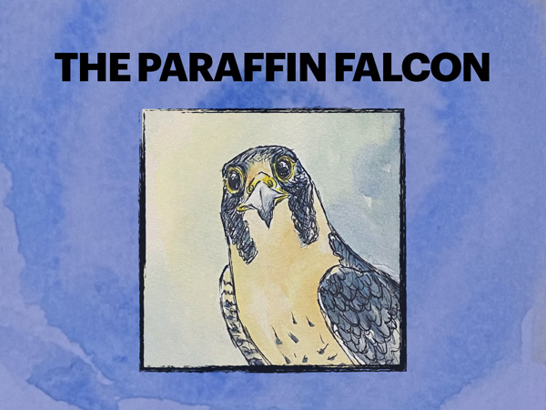 KayBeeBooks - The Paraffin Falcon